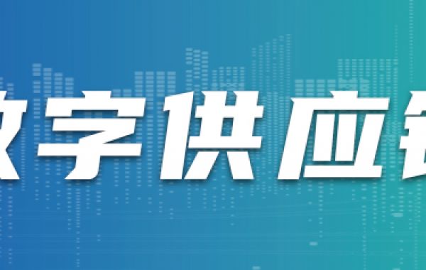 【数字供应链】我国县域城市数字化转型发展形势与总体思路