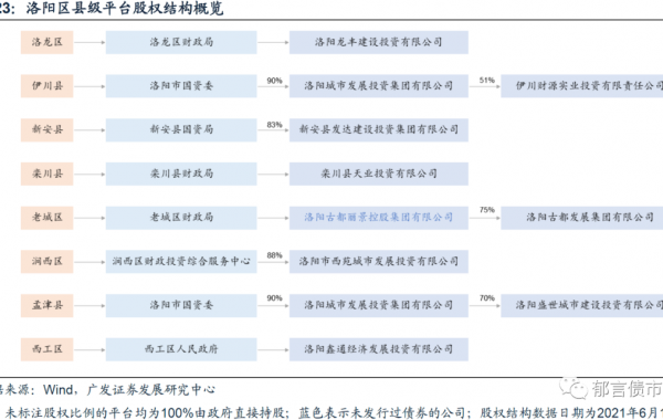 河南省89家城投平台详尽数据挖掘